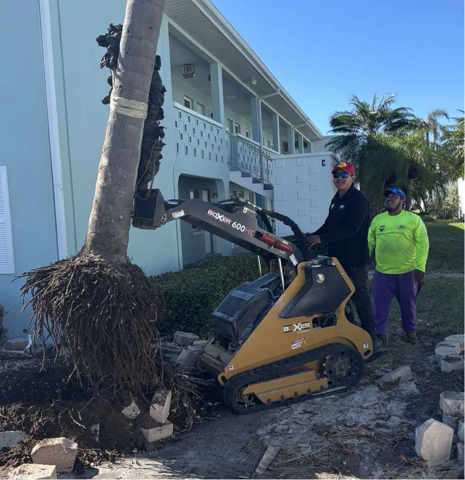 The JB Family Lawn Care crew on a palm removal job