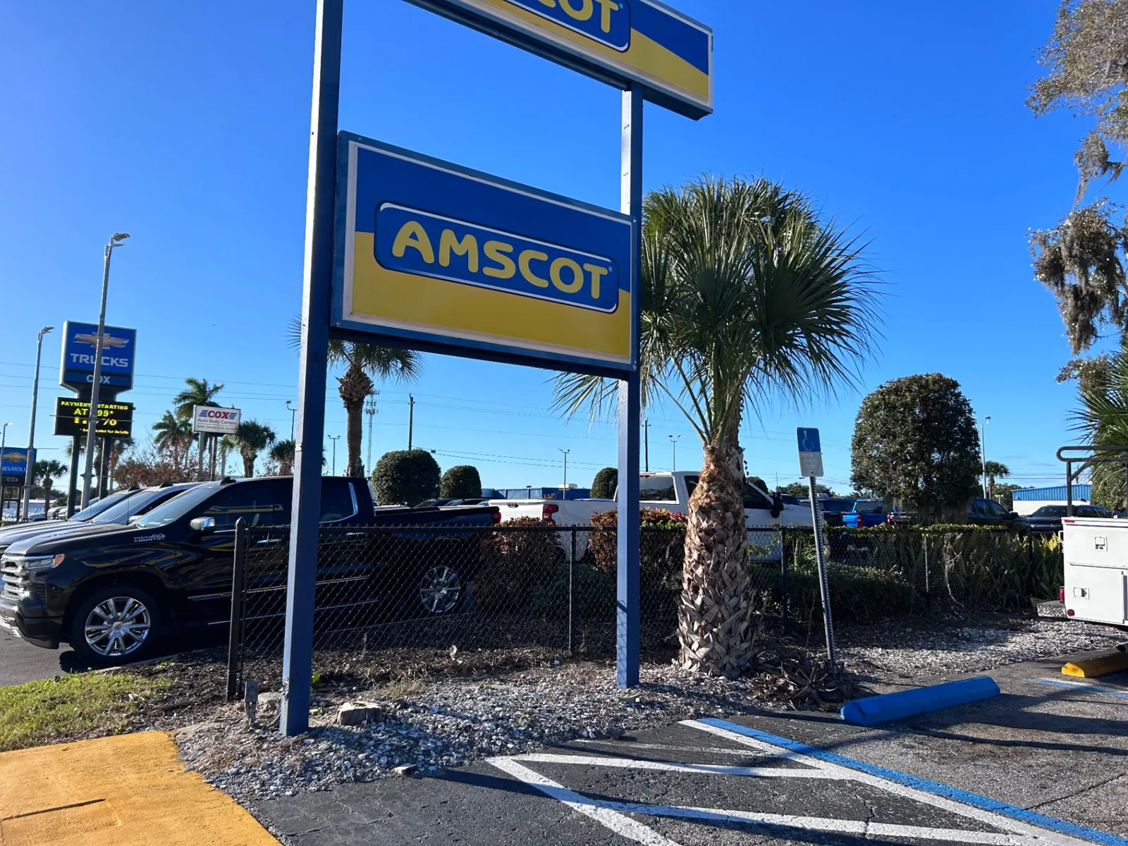 Amscot Financial — commercial landscaping by JB Family Lawn Care